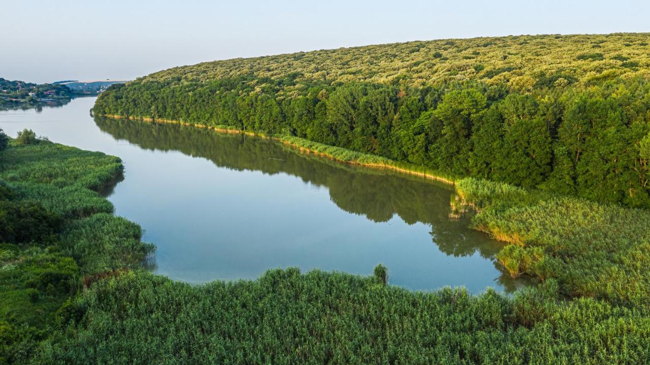 Вила Теkето I Vila Teketo Family Guest House Nikolovo ภายนอก รูปภาพ